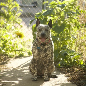 Fundraising Page: Alexis Lopez